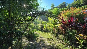 Un jardin luxuriant, avec une grande variété de plantes et d’arbres, un ciel dégagé et la lumière du soleil filtrant à travers le feuillage.
