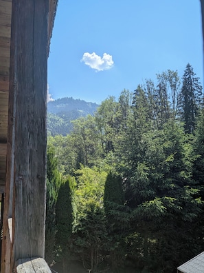 Blick von einer Holzhütte auf einen dichten Wald und ein Gebirge.