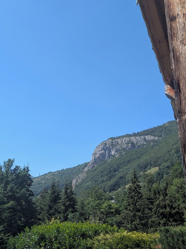 Paisaje montañoso con bosque denso y cielo despejado.