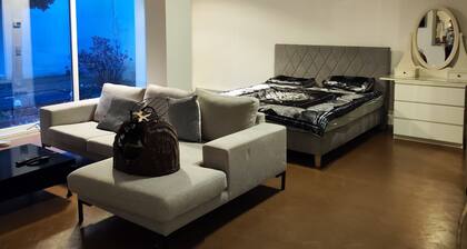 Oase im Herzen Düsseldorf
Ruhige Ferienwohnung im Zentrum Düsseldorf mit Garten