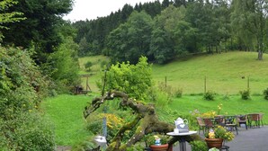 A garden setting with a table and chairs, surrounded by potted plants and a rustic tree. - Apartment in Lennestadt for 2 Person (Lennestadt)