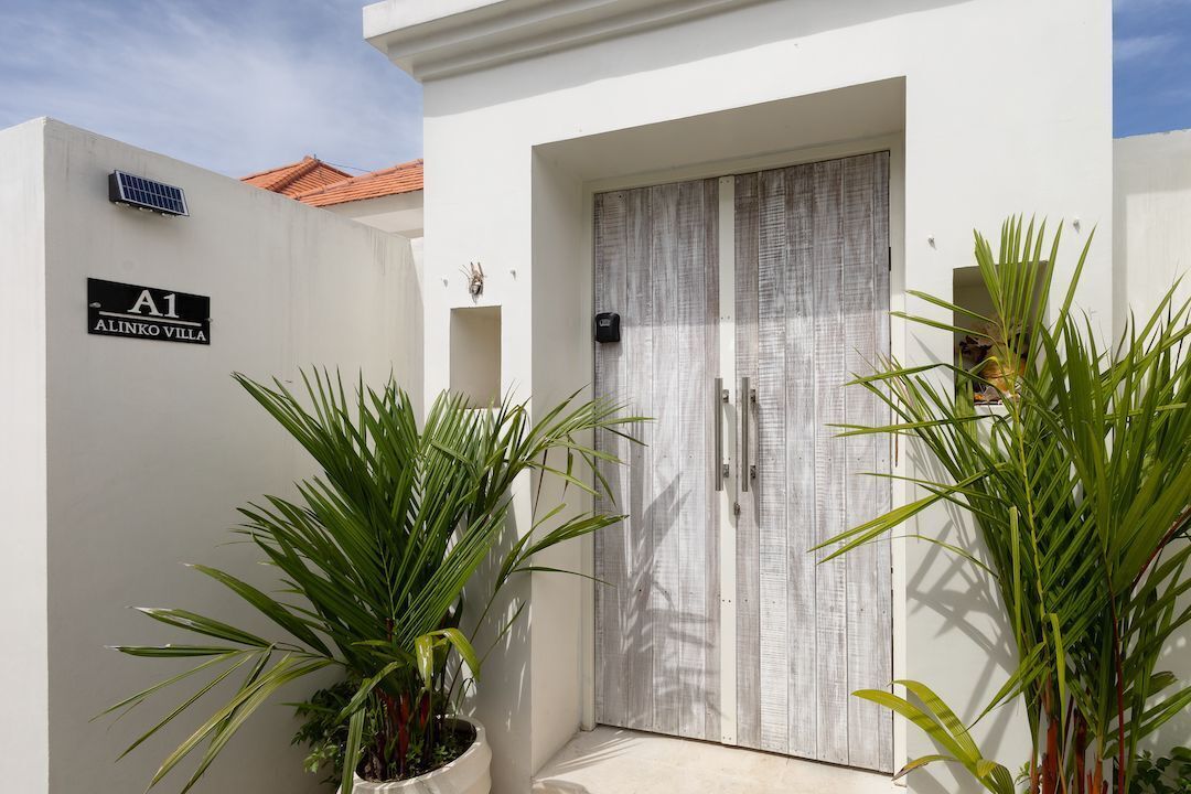 A white building with a sign reading 'A1 ALINKO VILLA,' a door with a textured surface, and potted plants in the foreground.