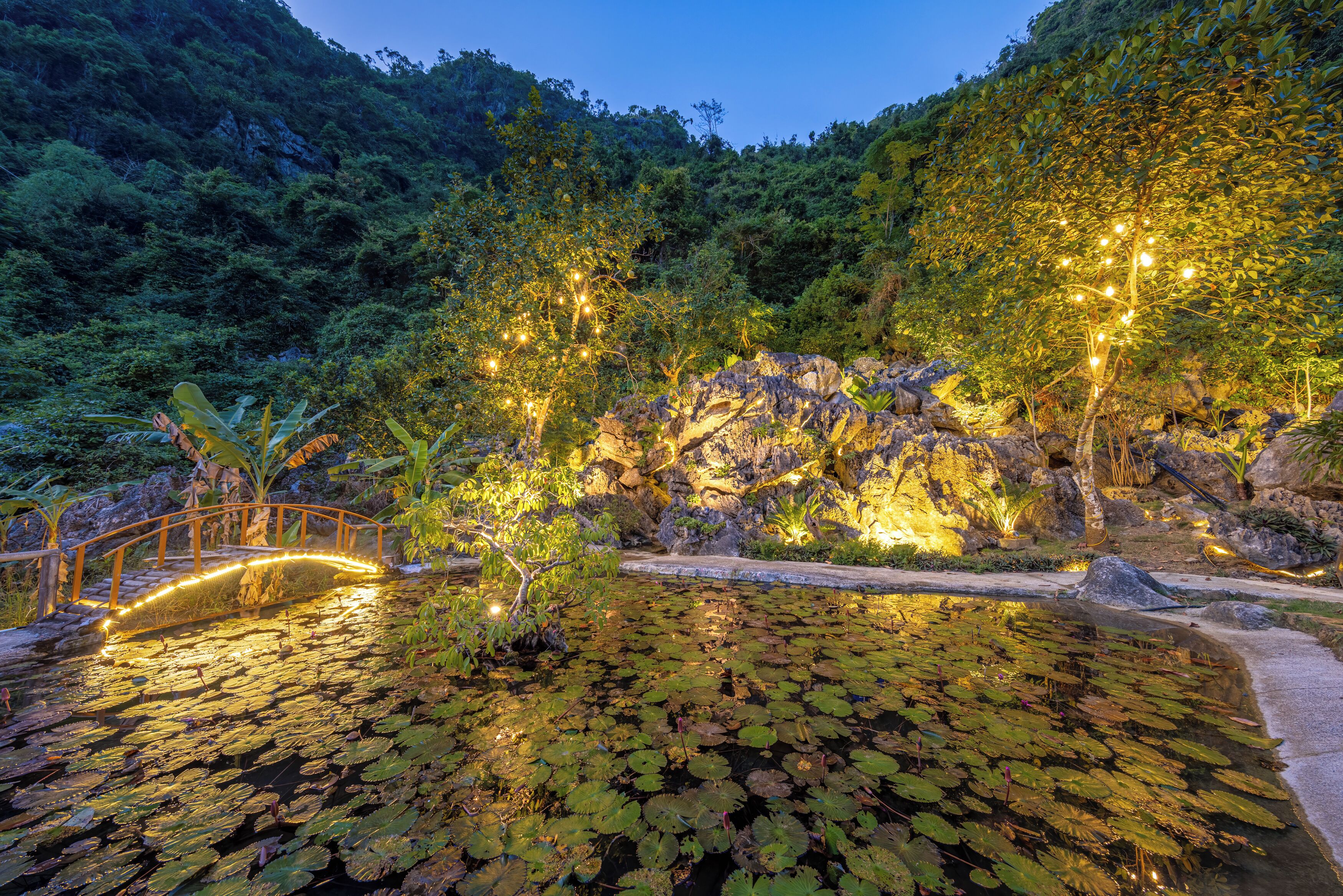 A serene pond with lily pads surrounded by a wooden bridge and illuminated trees.