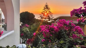 Un balcón con vistas a la puesta de sol sobre el mar, rodeado de flores de buganvilla y un pino.