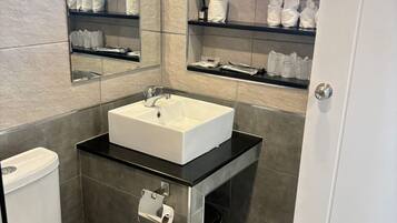 Shower, hair dryer, towels