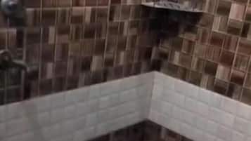 Shower, free toiletries, towels, soap