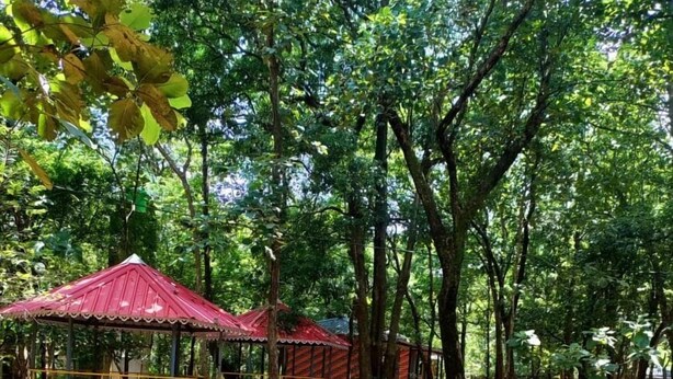 A park with red-roofed structures, a dirt ground, and dense green trees.