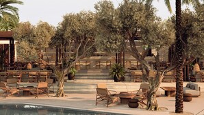 A poolside area with lounge chairs, a pool, and trees. - Luura - Cliff, Paros, A Morgans Originals Hotel (Paros)
