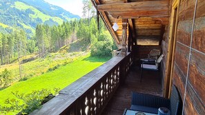 Property grounds - Open holiday apartment with private kitchen, terrace and Wi-Fi (Hainzenberg)