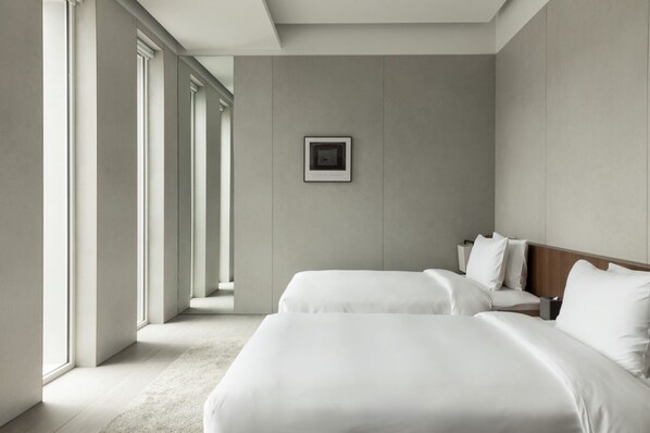 Deluxe Twin Room | In-room safe