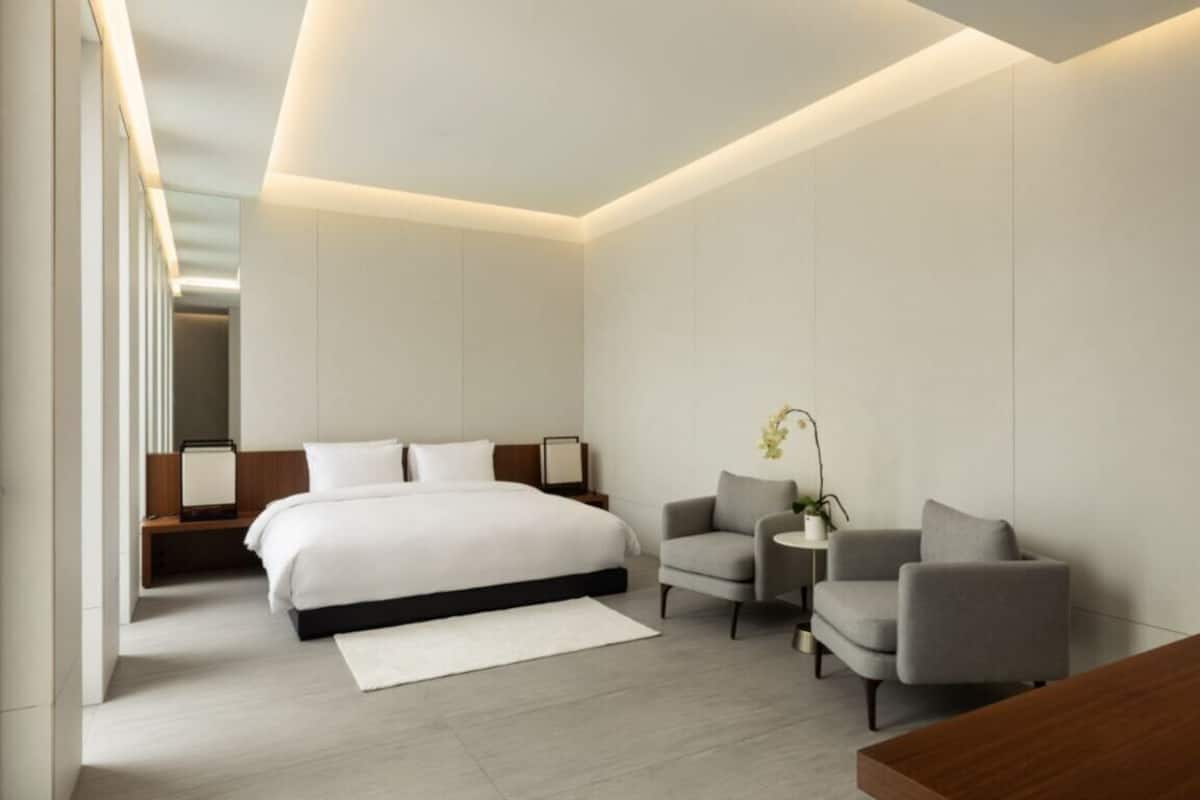 A modern hotel room with a large bed, two armchairs, a small table, and a potted plant.