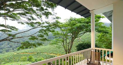 Private Homestay in chithirapuram, Munnar, Kerala