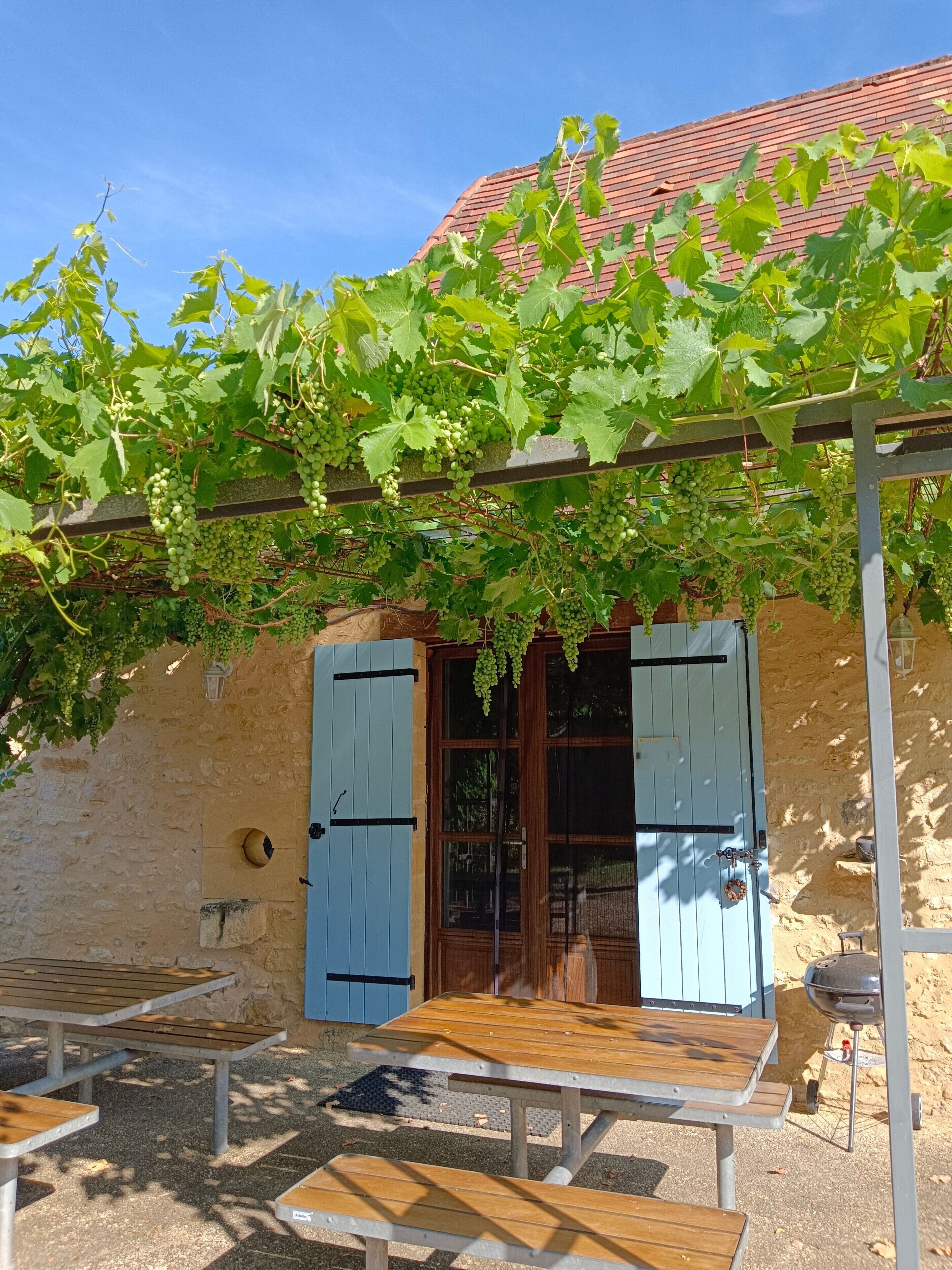 Ein rustikales Gebäude mit einer Steinwand, einer Holztür mit blauen Fensterläden und einer mit Weintrauben bewachsenen Pergola.