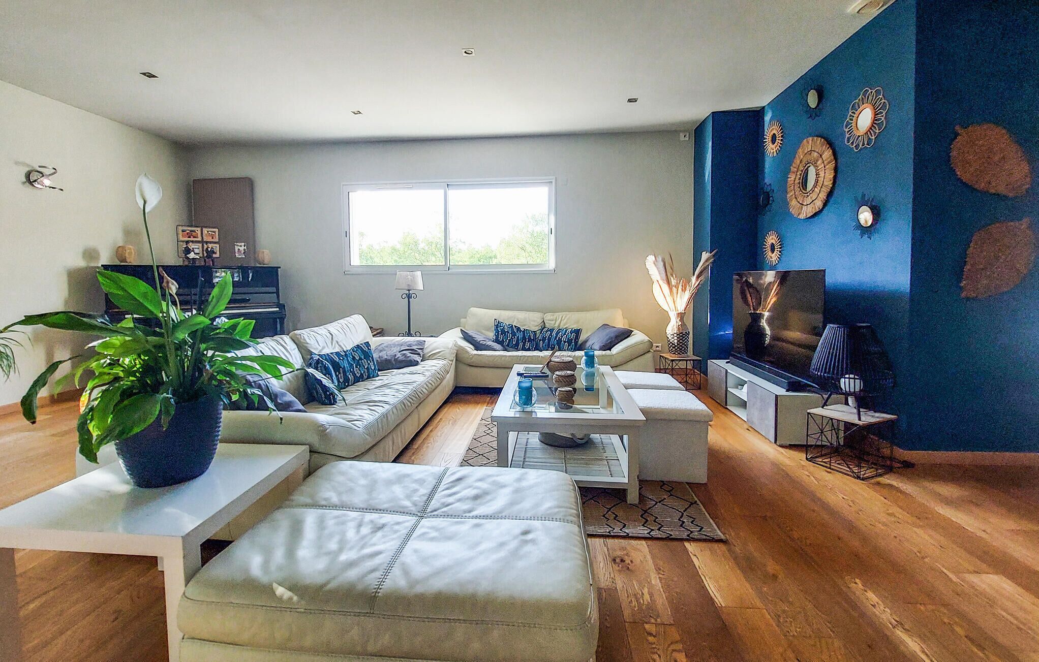 A modern living room with a sofa, ottoman, coffee table, and a TV. There is a large window, a blue accent wall, and a plant.