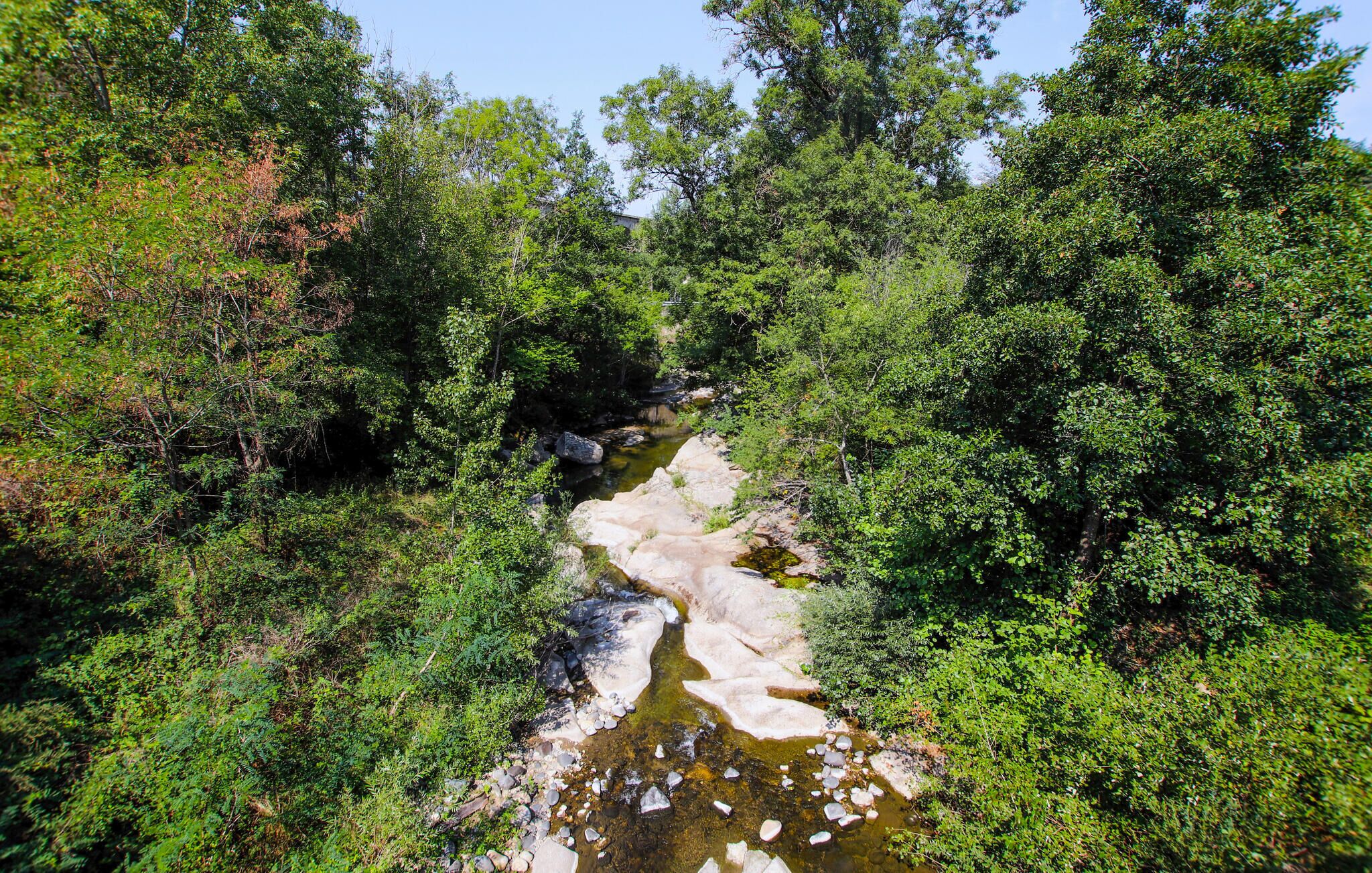 منوع