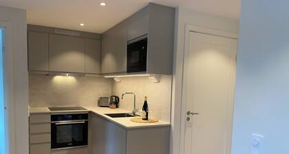 Newly renovated apartment with free parking