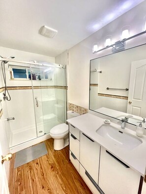A modern bathroom with a glass shower enclosure, a white toilet, and a vanity with a large mirror. - Private Guest Suite, Two Parking Spaces (Maple Ridge)