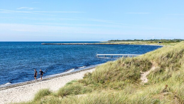 A coastal scene with a sandy beach, a pier extending into the water, and grassy dunes.