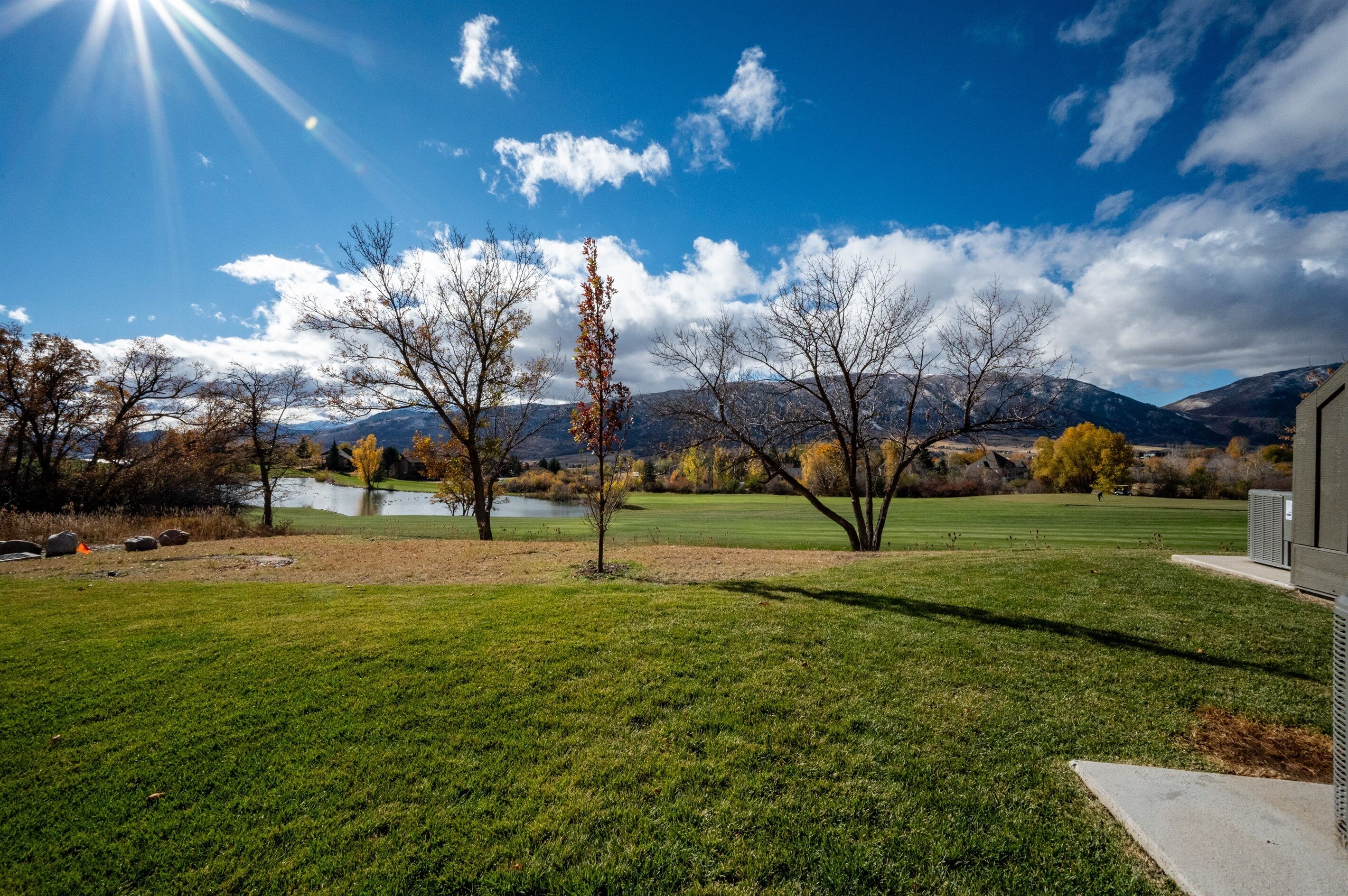A grassy area with trees and a body of water, with mountains in the background.