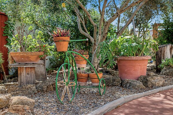 A garden with various potted plants, a wooden structure, and a tree.