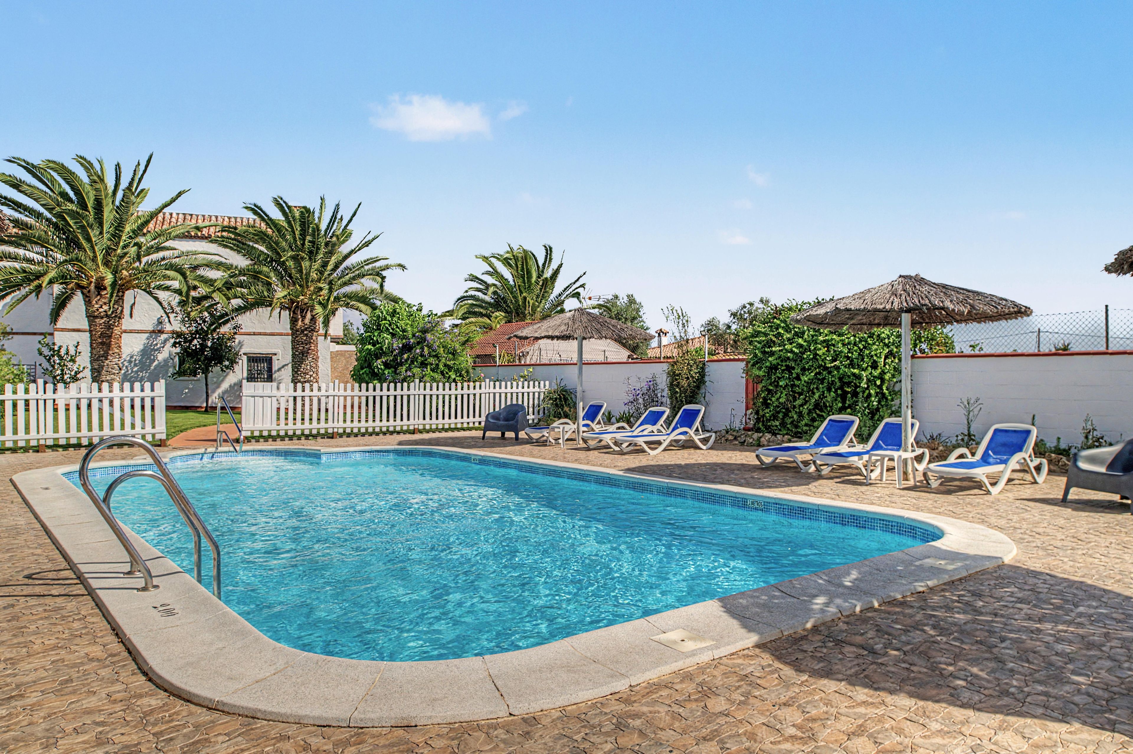 A swimming pool with a tiled edge, surrounded by lounge chairs and palm trees.