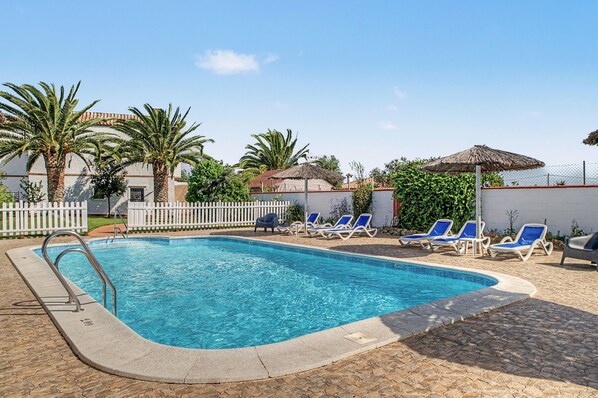 A swimming pool with a tiled edge, surrounded by lounge chairs and palm trees.