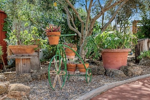 Um jardim com vários vasos de plantas, uma estrutura de madeira e uma árvore.