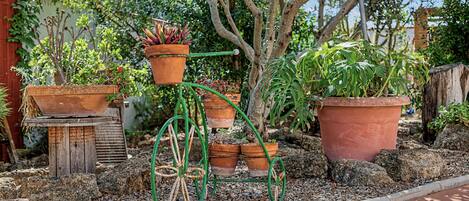 Un jardin agrémenté de diverses plantes en pot, d’une structure en bois et d’un arbre.