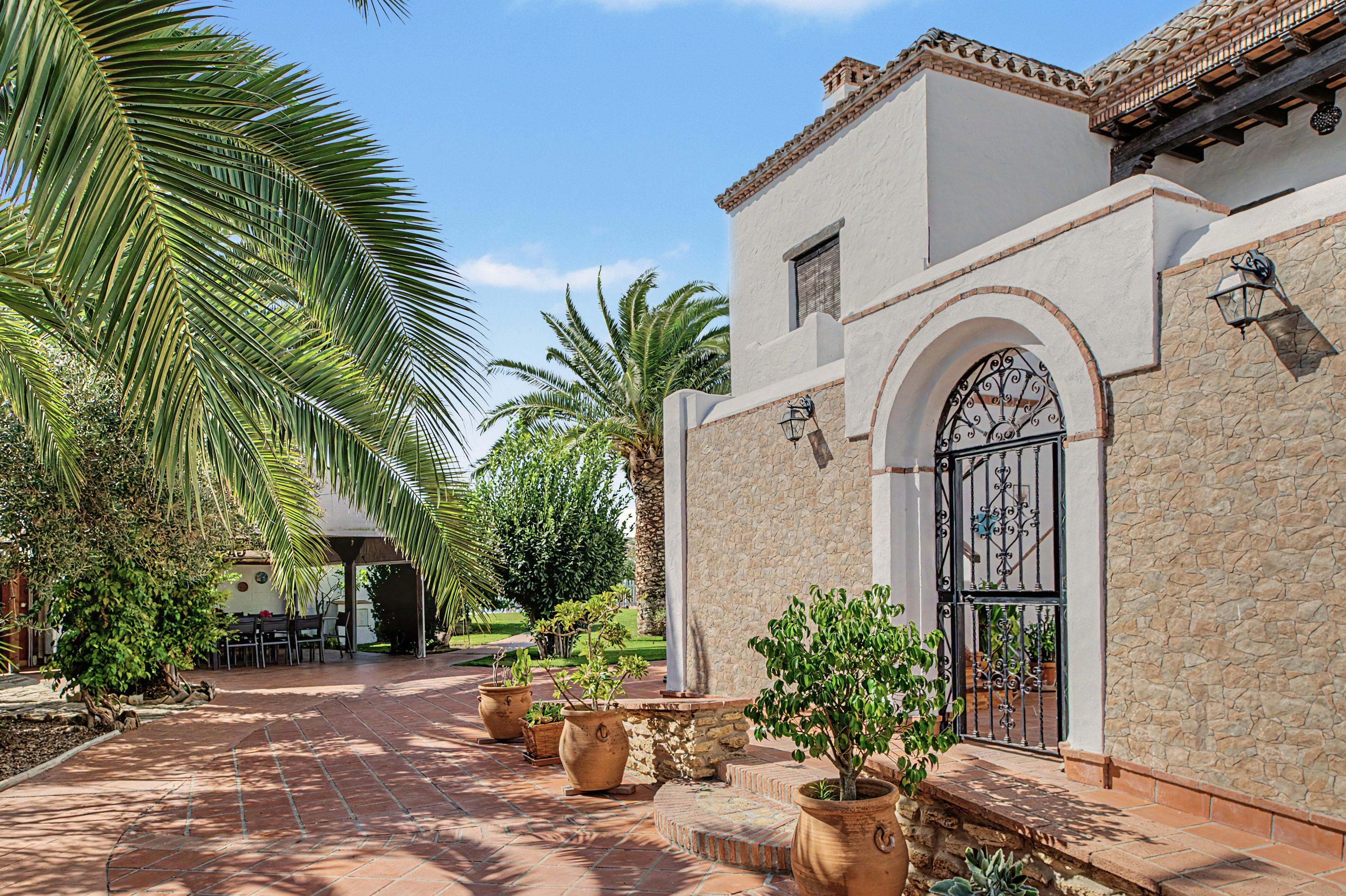 A courtyard with a paved walkway, palm trees, and a building with a stone facade and a metal gate.