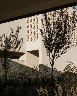 Garden - AMÉNTE Mindful Suites (Agios Vasileios)