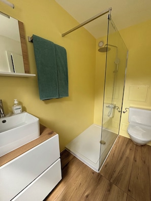 Hair dryer, towels, soap, toilet paper