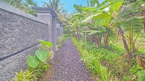 A pathway lined with large-leafed plants and a stone wall. - OYO 94782 Loka Loka Ubud (Ubud)