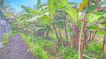 Façade de lâhĂ©bergement