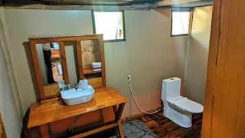Shower, jetted tub, hair dryer, bidet