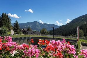 A mountain landscape with a bridge, houses, and a flagpole. - Pension Margarete (Zell am See)