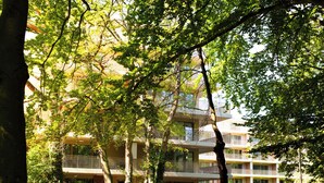 Un edificio de varios pisos con balcones, rodeado de árboles y vegetación.