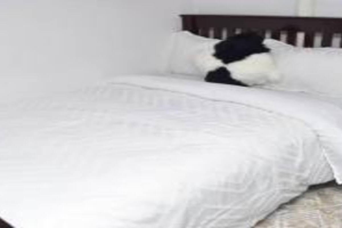 Chambre Double Deluxe | Wi-Fi gratuit