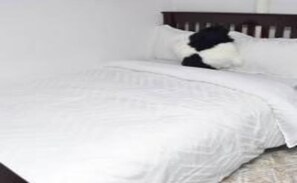 Deluxe Double Room | Free WiFi - Lost & Found Zanzibar (Zanzibar Town)