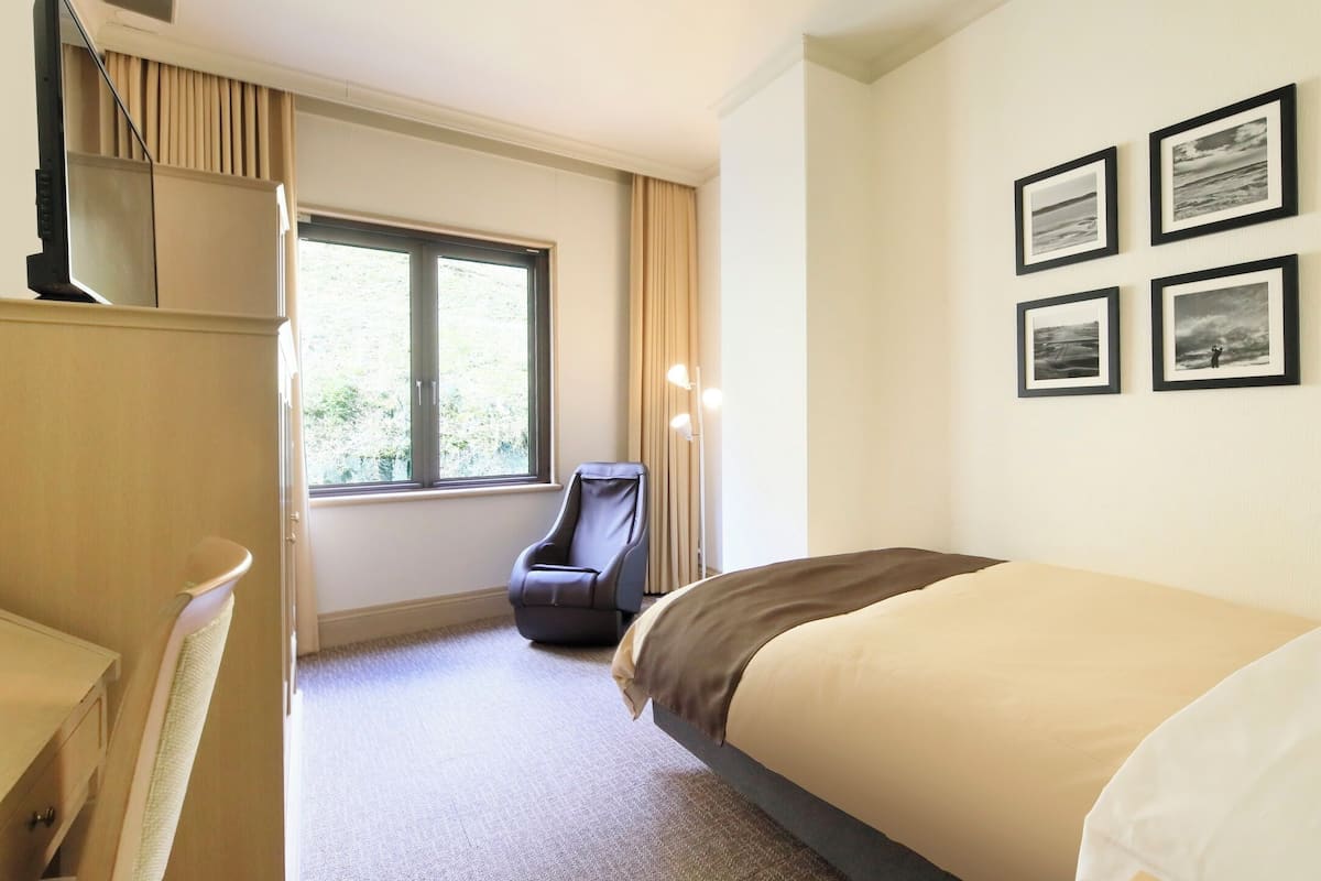 Deluxe Single Room | Down comforters, desk, laptop workspace, blackout drapes