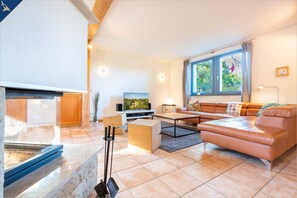 Télévision, cheminée, lecteur de DVD, livres