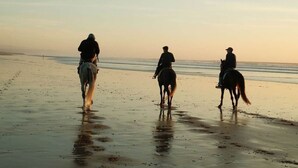 Three people riding horses on a beach at sunset.