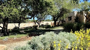 A garden with various plants and trees, a stone wall, and a building in the background.