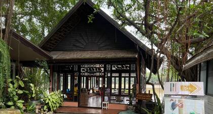 No8 Double Suite, Rainbow Arokaya Welness Resort