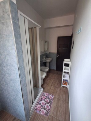 Shower, hair dryer, bathrobes, bidet