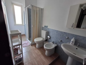 Shower, hair dryer, bidet, towels