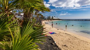 A beach with palm trees, a sandy shore, and a clear blue sky.