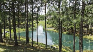 Un étang paisible, entouré de grands pins, avec une fontaine bien visible au centre.