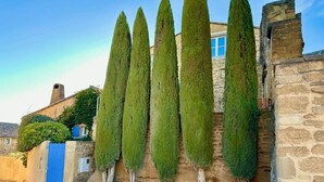 A row of tall, narrow trees planted against a stone wall, with a blue door and a brick building in the background. - Le Clos du Vialle (Grillon)