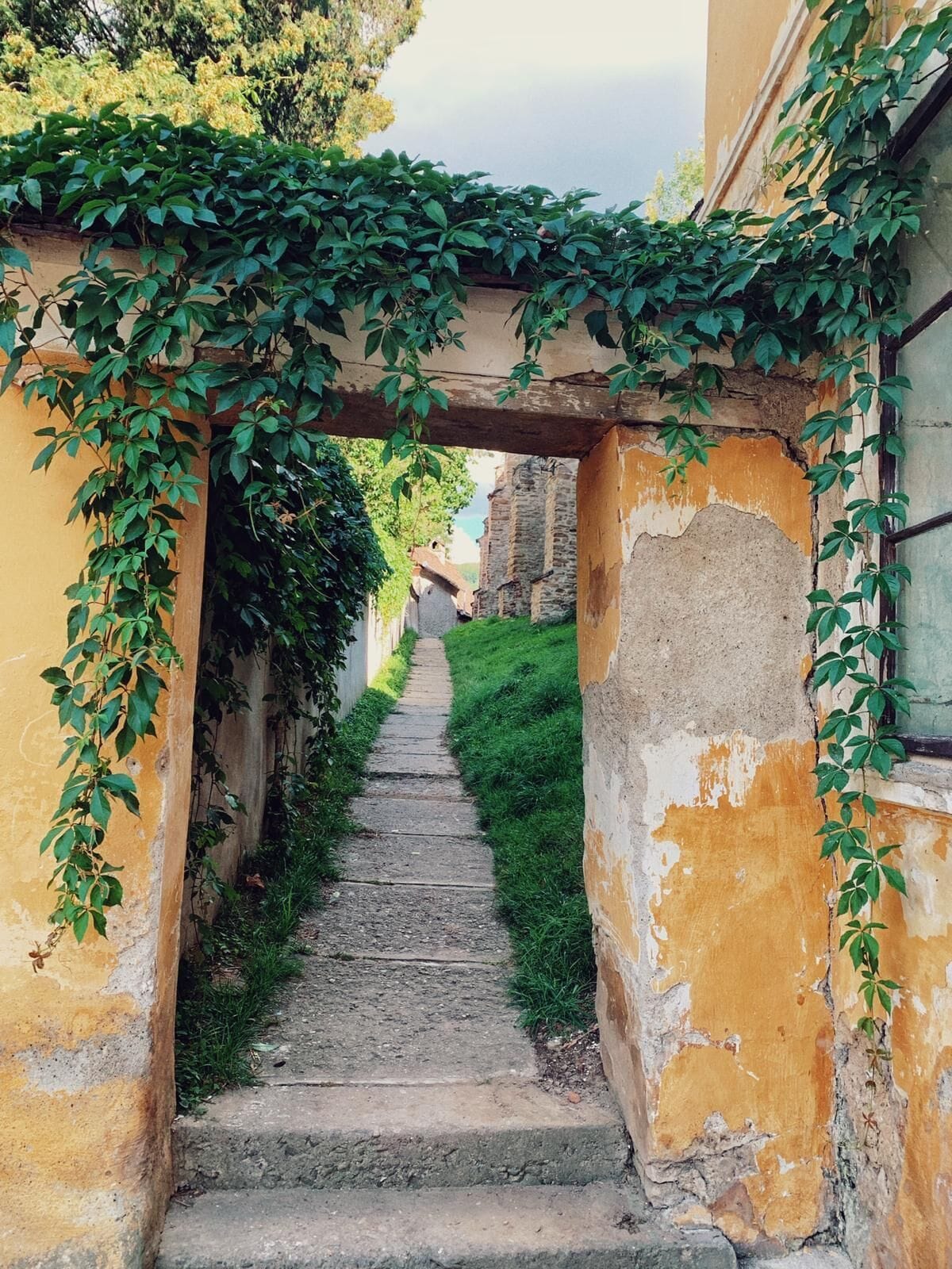 จักรยาน