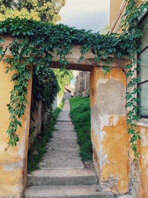 A narrow stone staircase leading down to a lower level, surrounded by overgrown vegetation and weathered walls. - Casa Mosului  (Cârțișoara)